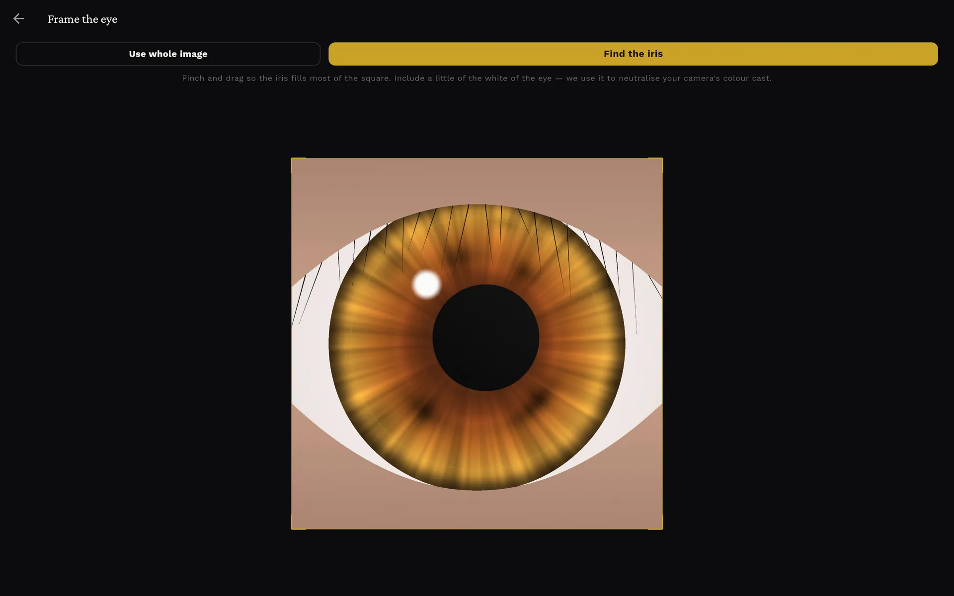 Frame the eye screen showing a square crop with gold corner guides over the synthetic test eye