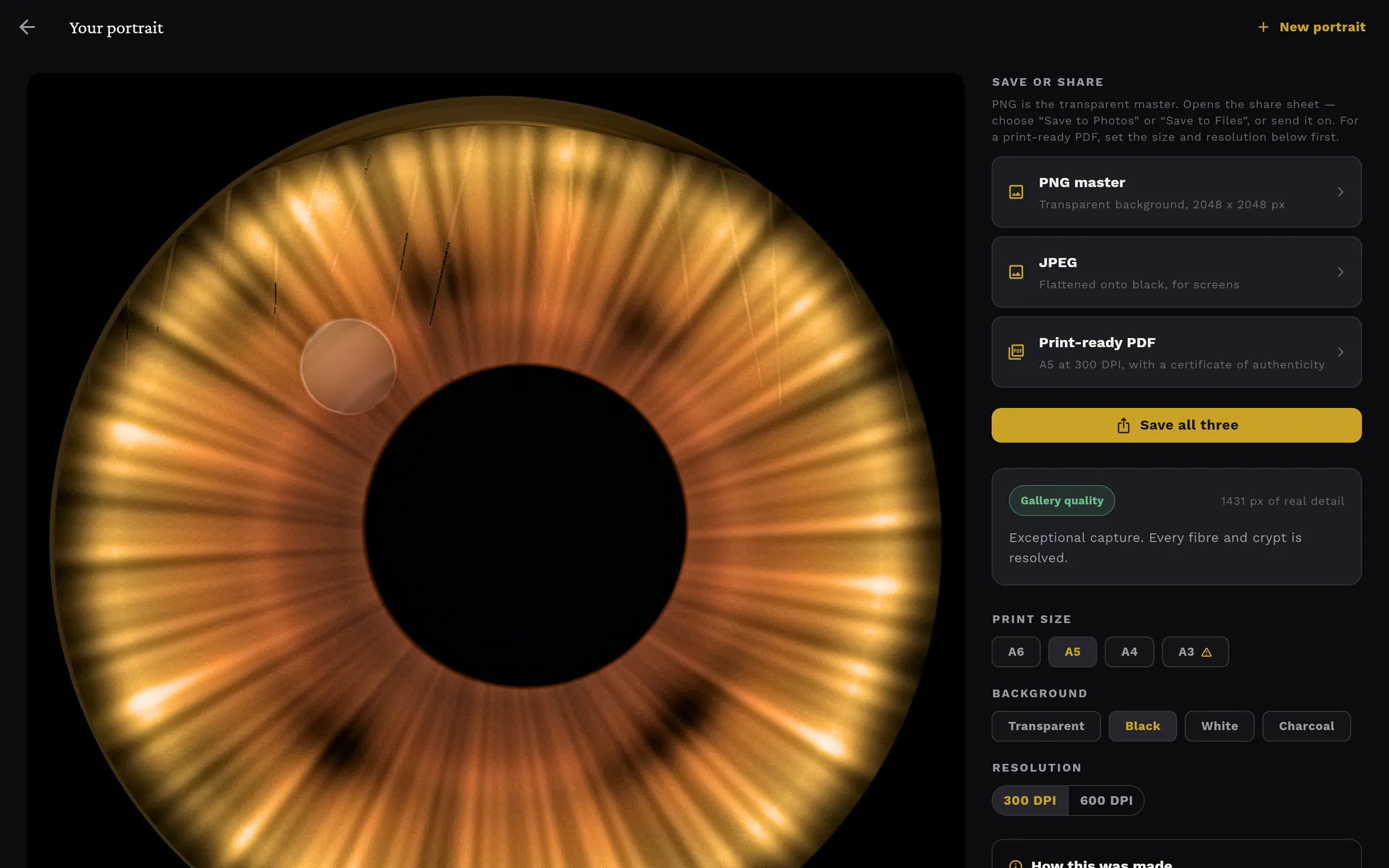 Your portrait screen with a circular amber iris portrait on black, save options for PNG, JPEG and PDF, and a Gallery quality grade