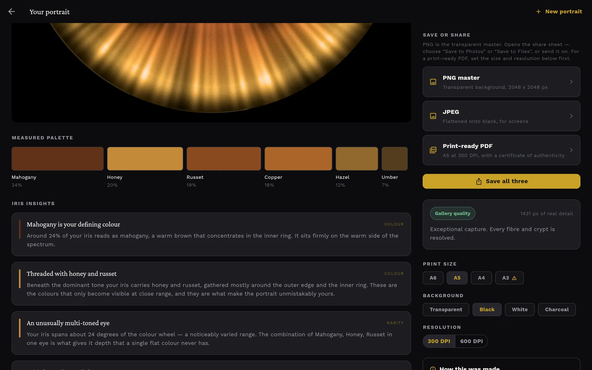 Measured palette of six named colour swatches with percentages above Iris insights cards