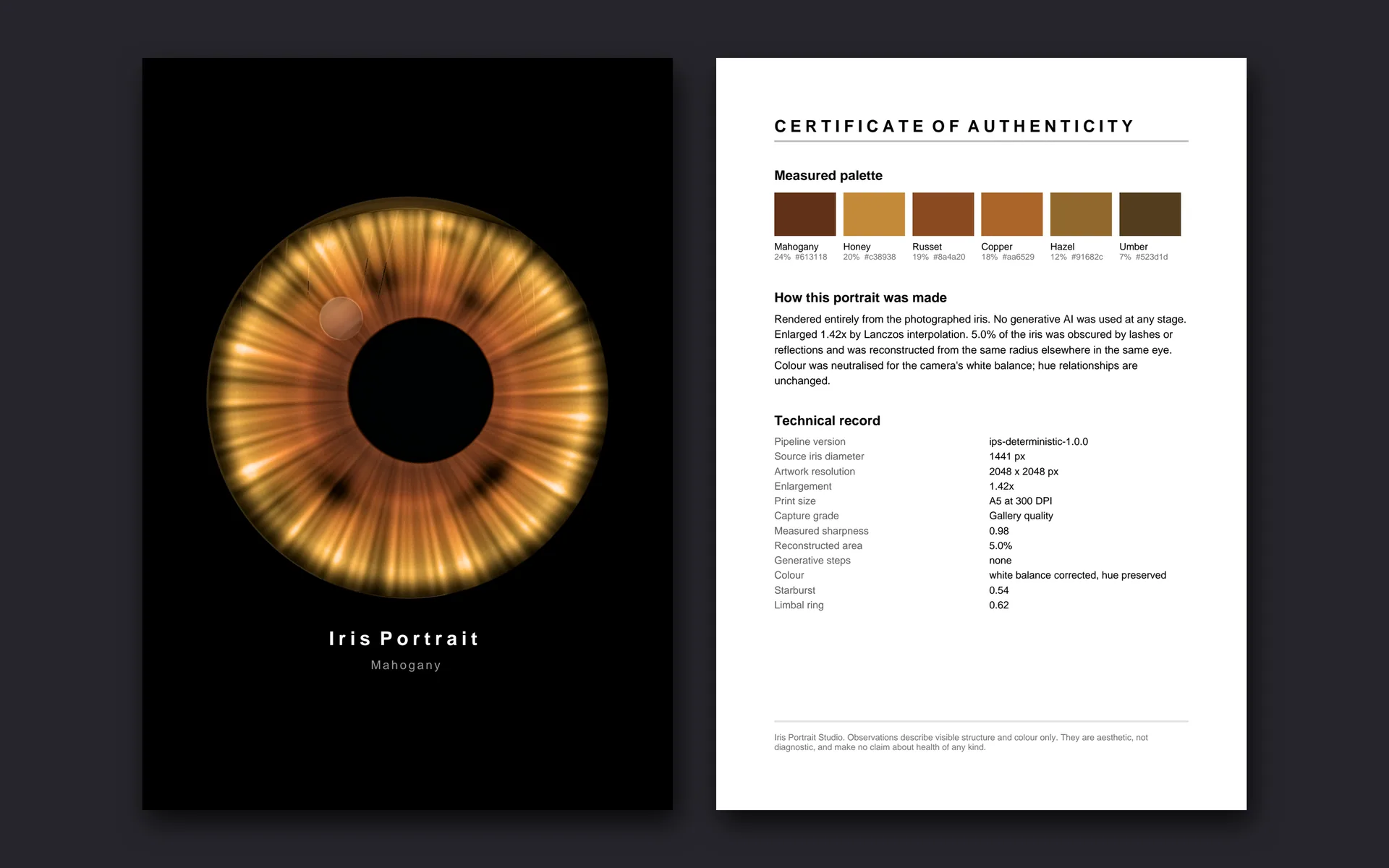 Two pages of the exported A5 PDF: the iris portrait on black titled Iris Portrait, and a certificate of authenticity with palette and technical record