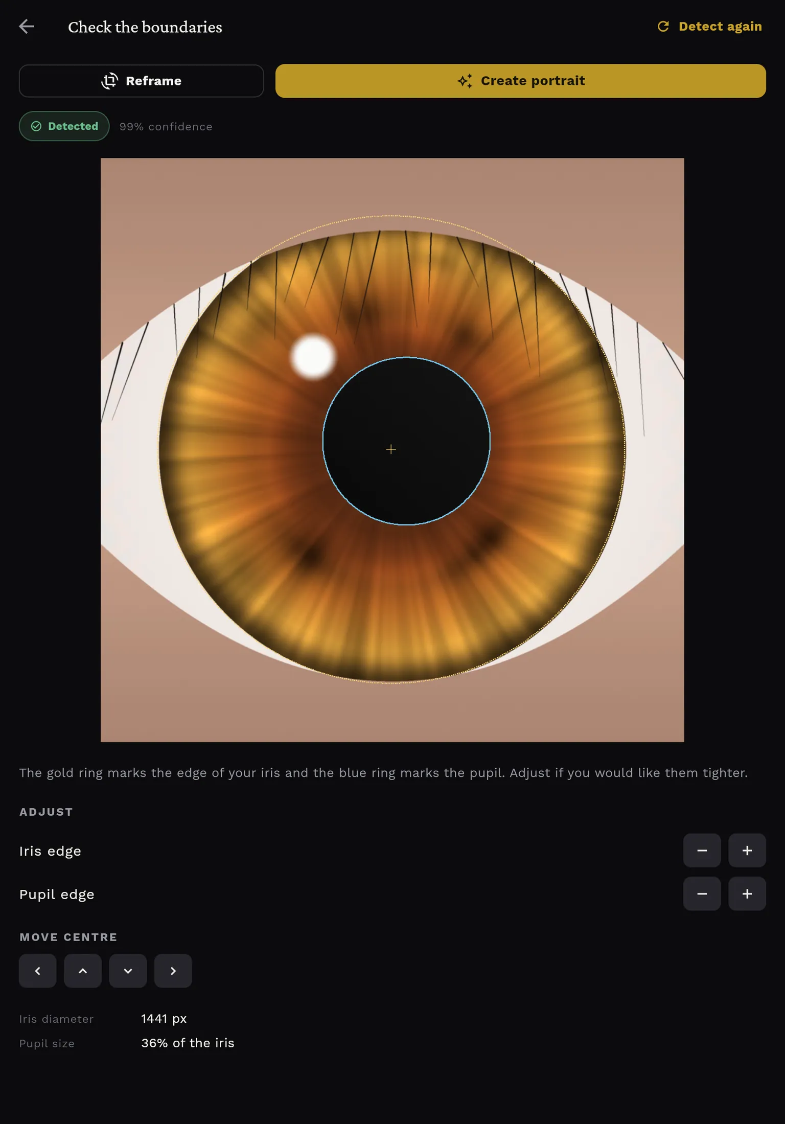 Check the boundaries screen on a tablet with Reframe and Create portrait buttons at the top, a Detected status at 99% confidence, the eye with a gold iris ring and blue pupil ring, and adjustment controls below