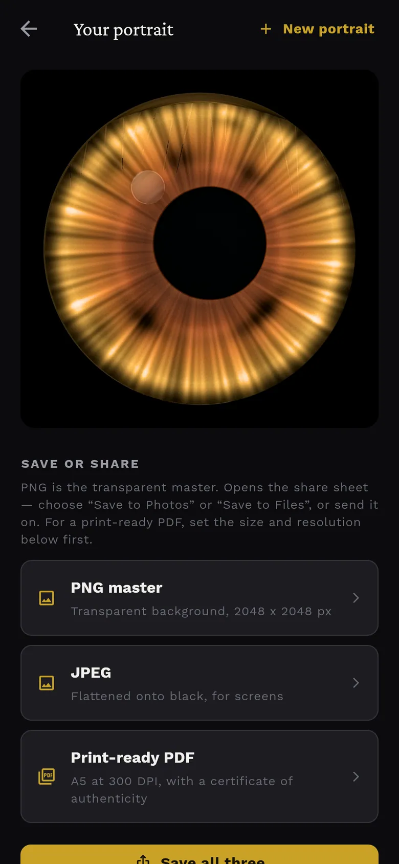 Finished iris portrait on a phone with PNG master, JPEG and print-ready PDF export options