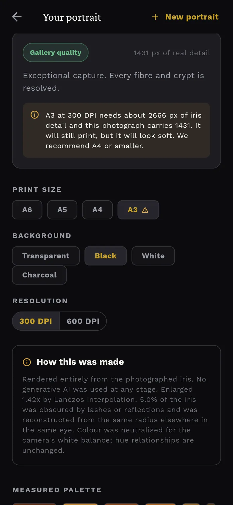 Mobile results screen showing a Gallery quality grade with an A3 warning, print size, background and resolution options, and the How this was made card